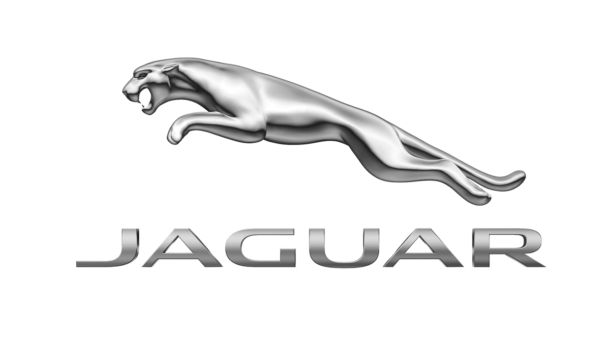 Jaguar Jaguar