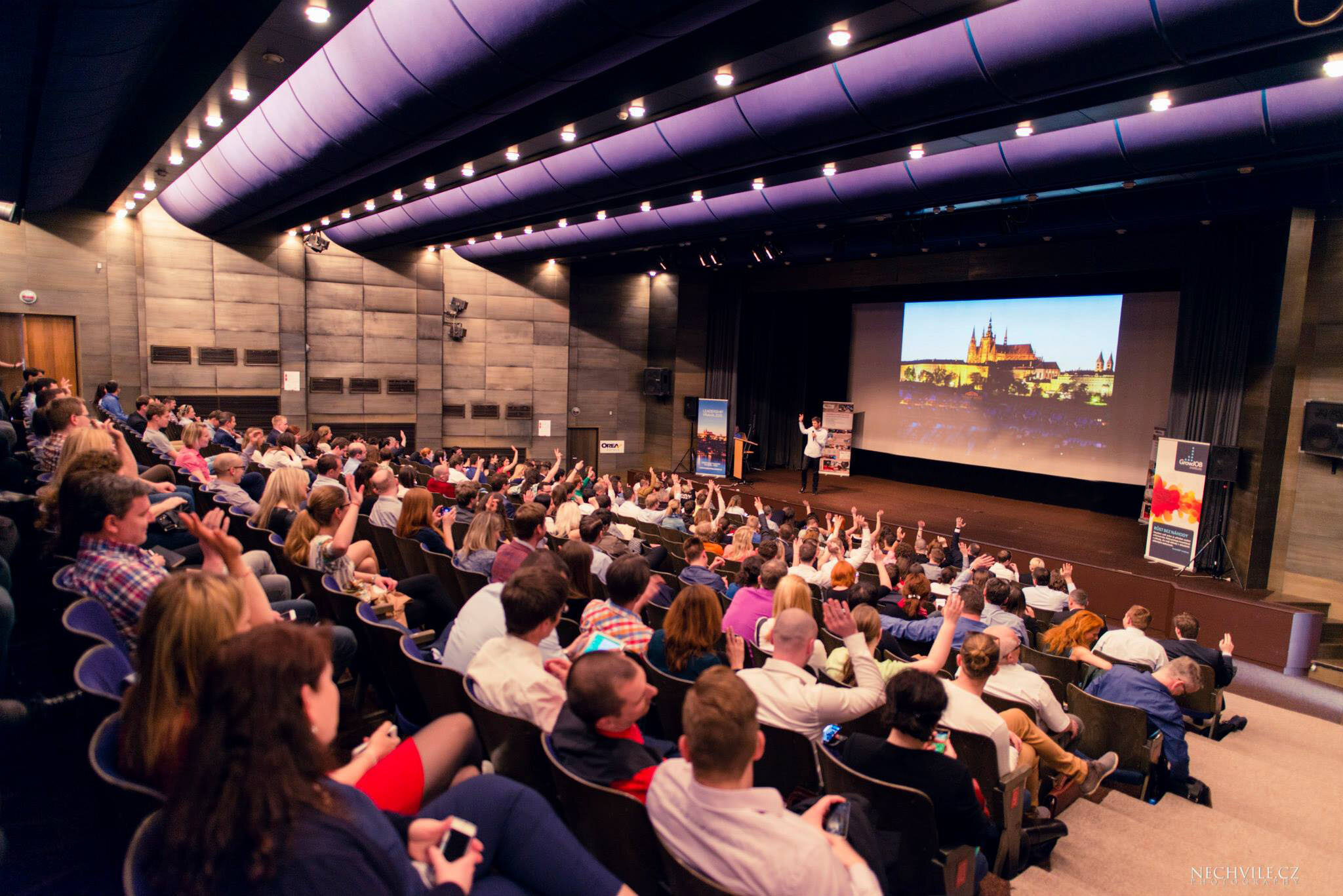 Petr Ludwig In Action 6.jpg